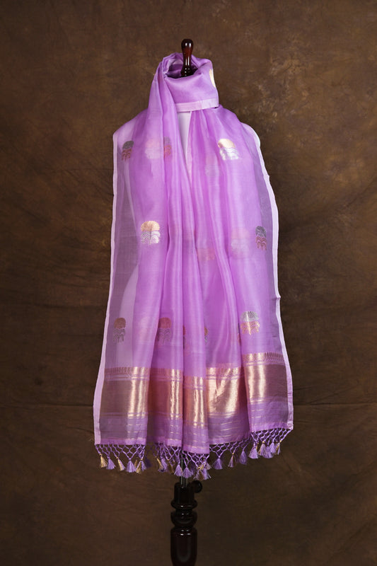 Baingani Noor